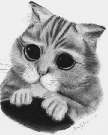 Puss-in-Boots